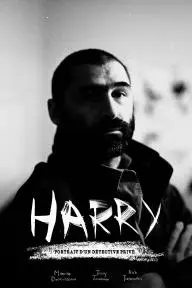 Harry: Portrait d'un détective privé_peliplat