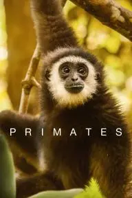 Primates_peliplat