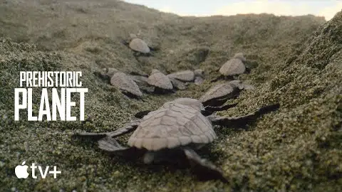 Official Sneak Peek