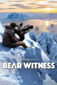 Bear Witness_peliplat
