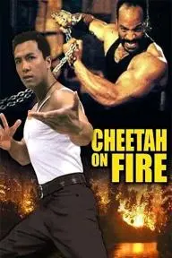 Cheetah on Fire_peliplat