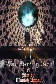 Wandering Soul_peliplat
