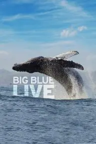 Big Blue Live_peliplat