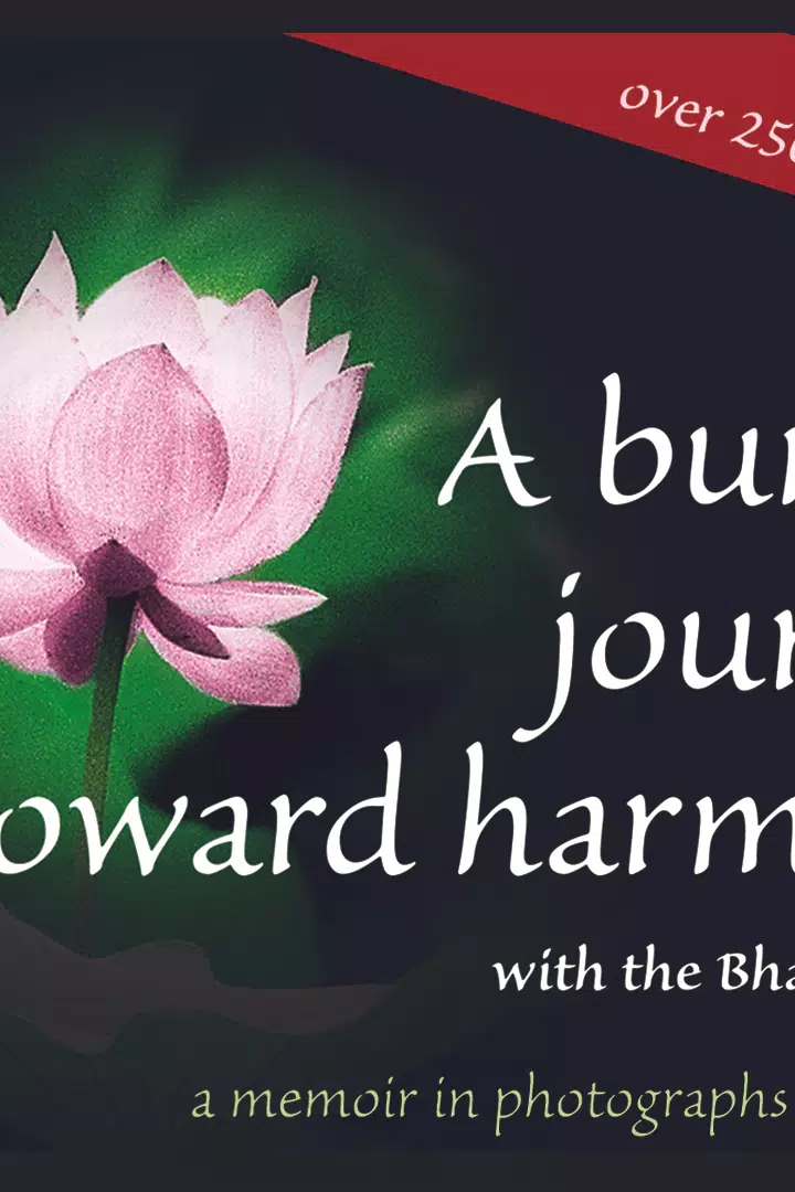 A Bumpy Journey Toward Harmony with the Bhagavad-gita