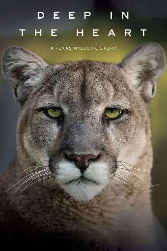 Deep in the Heart: A Texas Wildlife Story_peliplat