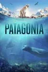 Patagonia: Life on the Edge of the World_peliplat