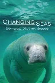 Changing Seas_peliplat