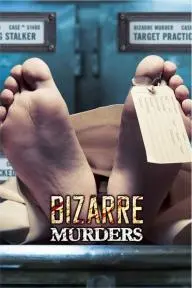 Bizarre Murders_peliplat