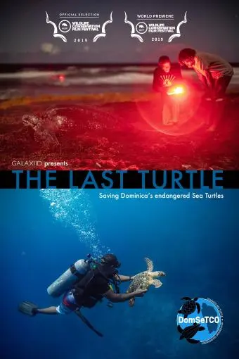 The Last Turtle_peliplat