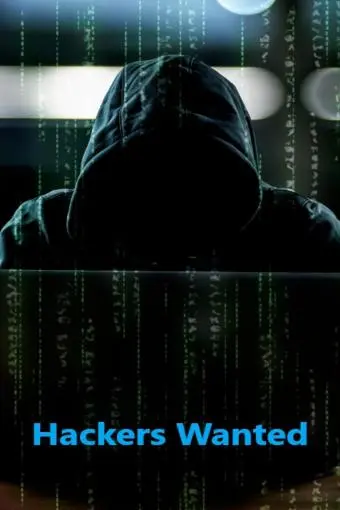 Hackers Wanted_peliplat