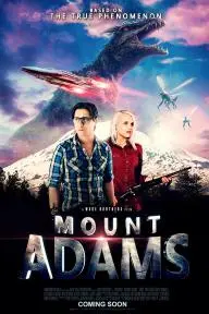 Mount Adams_peliplat