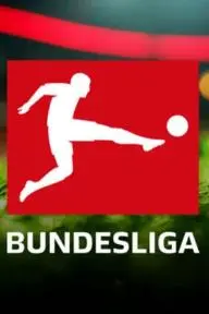 2014-2015 Bundesliga_peliplat