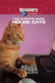 The Ultimate Guide: House Cats_peliplat