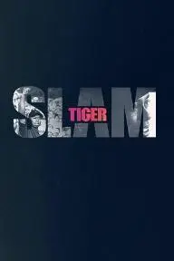 Tiger Slam_peliplat