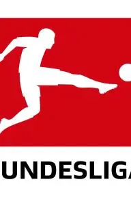2008-2009 Bundesliga_peliplat