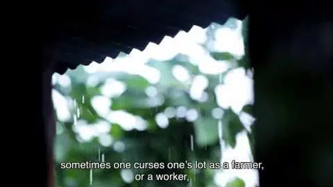 QUIJOTE Trailer Oficial