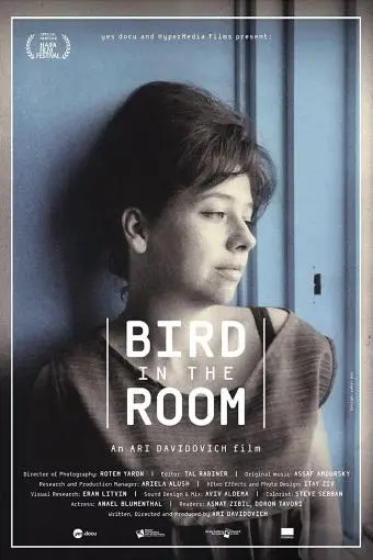 Bird in the Room_peliplat