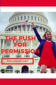 The Push for Permission_peliplat