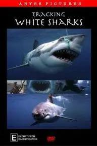 Tracking White Sharks_peliplat