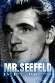 Mr. Seefeld - jäljet lumessa_peliplat