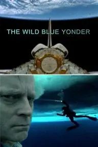 The Wild Blue Yonder_peliplat