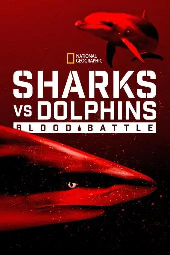 Sharks vs. Dolphins: Blood Battle_peliplat