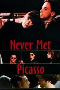 Never Met Picasso_peliplat