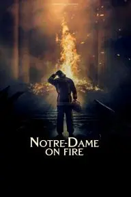 Notre-Dame on Fire_peliplat