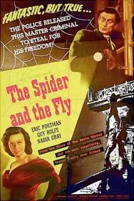 The Spider and the Fly_peliplat