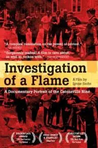 Investigation of a Flame_peliplat