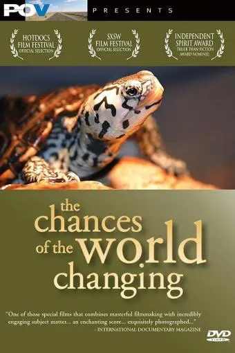 The Chances of the World Changing_peliplat