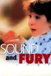 Sound and Fury_peliplat