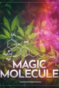 Magic Molecule_peliplat
