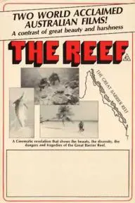 The Reef_peliplat