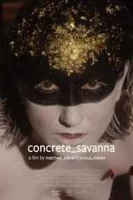Concrete_savanna_peliplat
