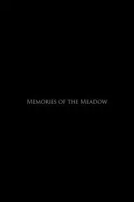 Memories of the Meadow_peliplat