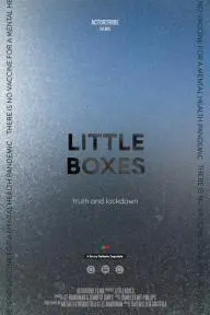 Little Boxes_peliplat