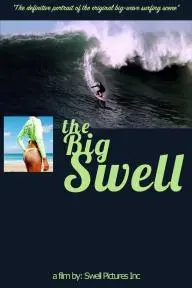 The Big Swell_peliplat