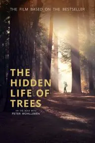The Hidden Life of Trees_peliplat