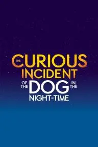 The Curious Incident of the Dog in the Night-Time_peliplat