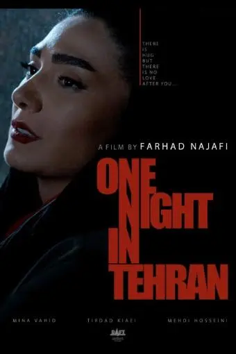 One Night in Tehran_peliplat