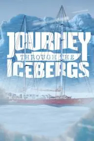 Journey Through the Icebergs_peliplat