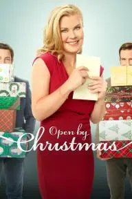 Open by Christmas_peliplat