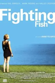 Fighting Fish_peliplat