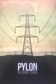 Pylon_peliplat