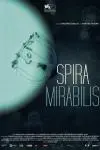 Spira Mirabilis_peliplat