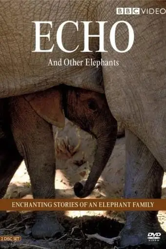 Echo of the Elephants_peliplat