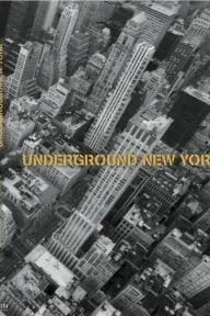 Underground New York_peliplat