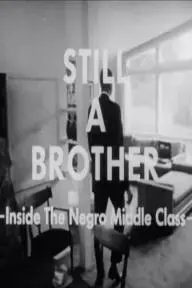 Still a Brother: Inside the Negro Middle Class_peliplat