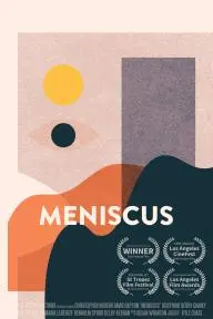 Meniscus_peliplat